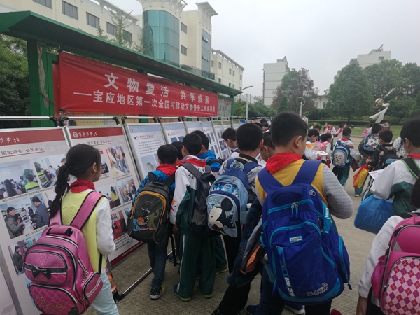 宝应博物馆“一普展”备受青睐