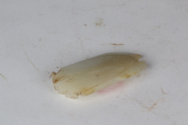 汉白玉蝉